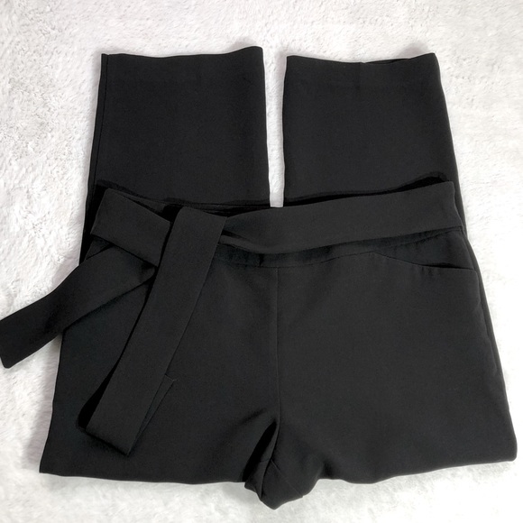 Ann Taylor Plus Size Tie- Waist Pant - Picture 3 of 8